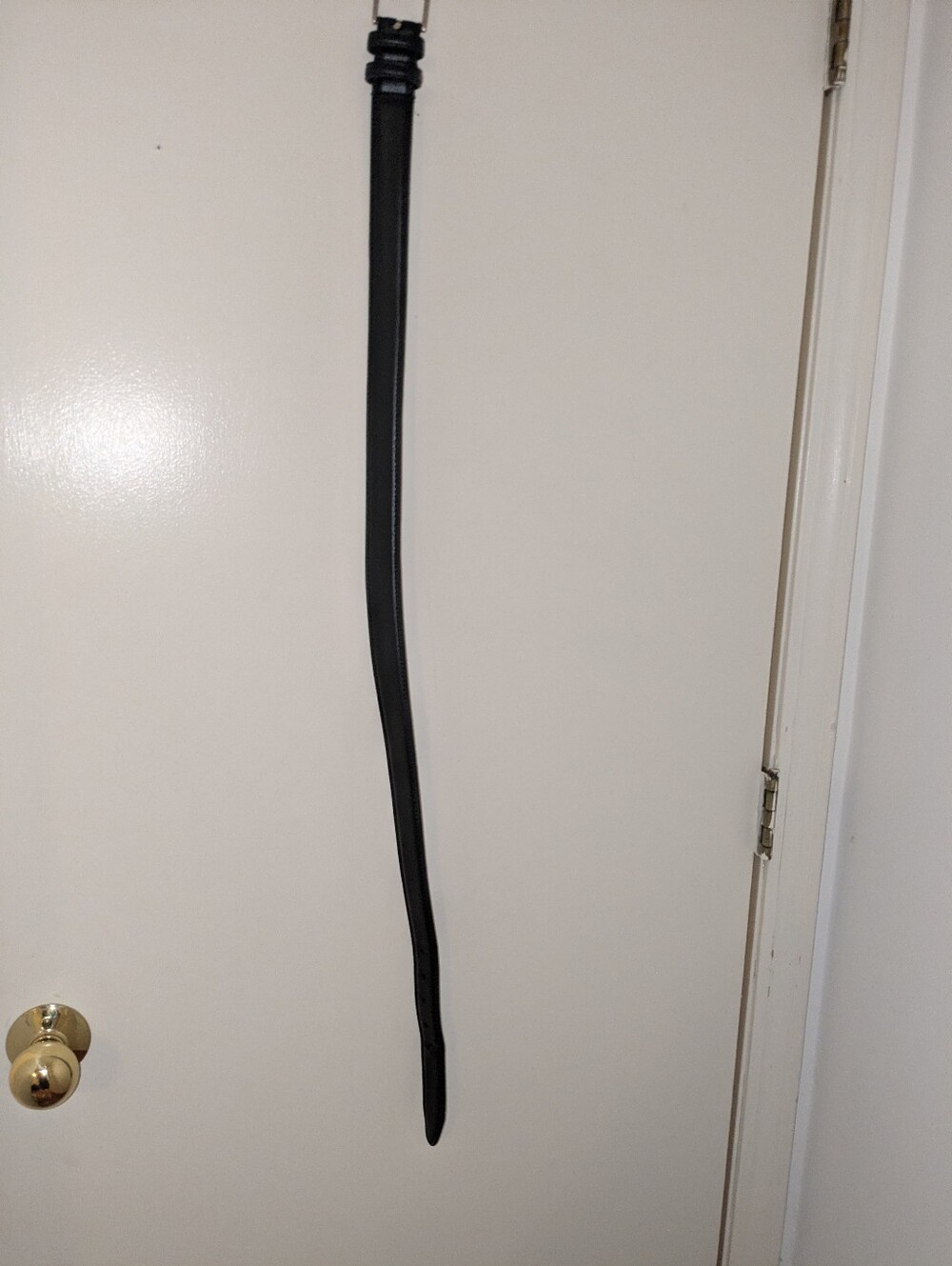 32w Men's Leather Belt